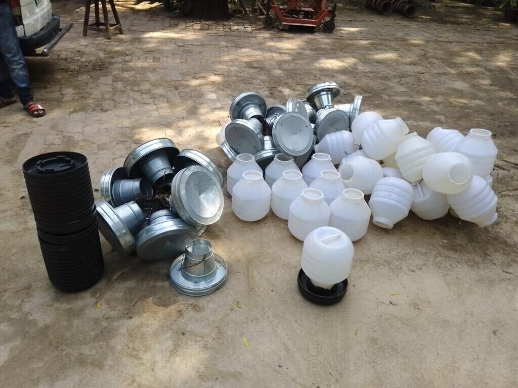 Supporting environmental diversity in Pakistan through bird feeding